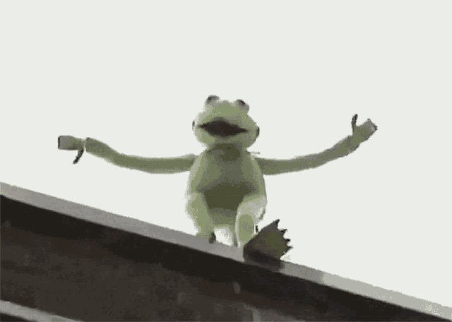 Picture of Kermit killing himself.